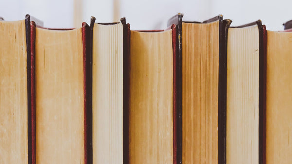 Our Top 5 Systems Thinking books for 2024